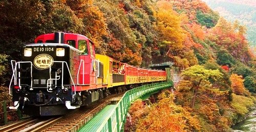 31357734_1656016141150596_4843174675393544192_n