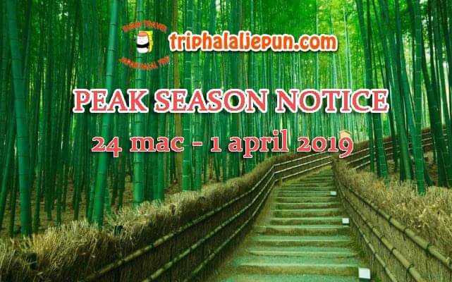 FB_IMG_1553309218760