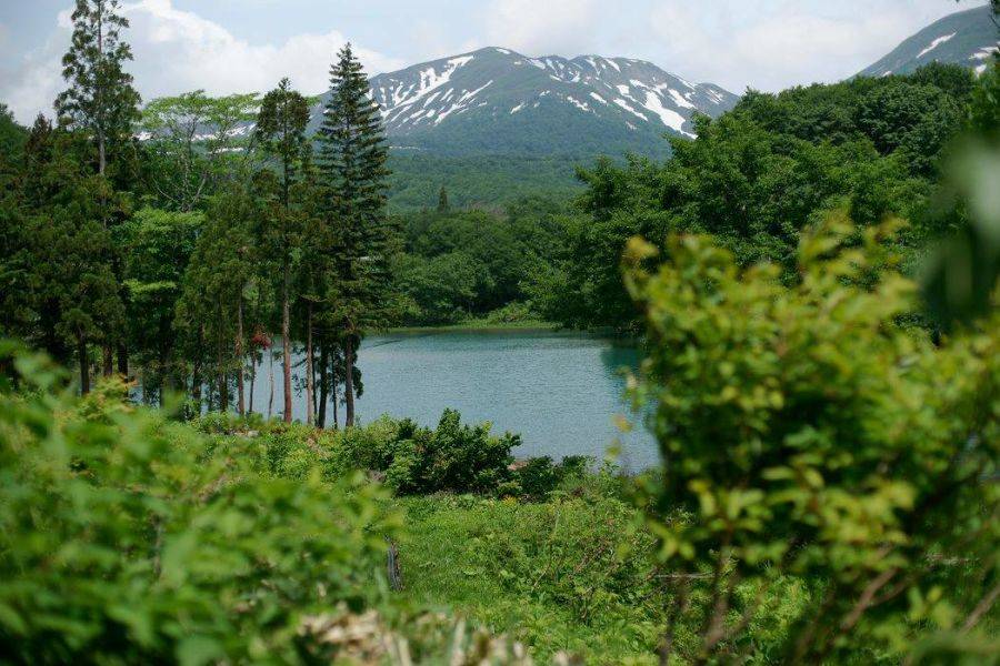 toz1lcgdzk4xhhquemsp